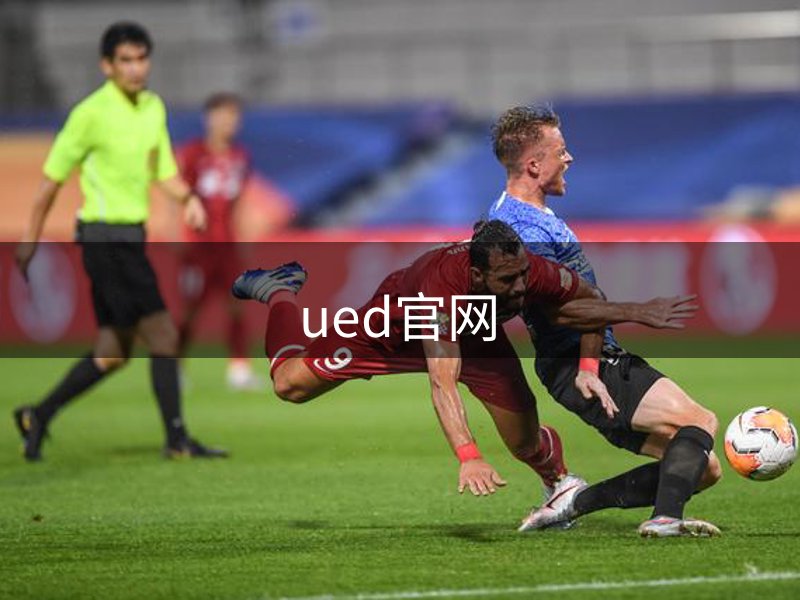 网站概况
